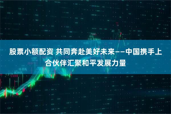 股票小额配资 共同奔赴美好未来——中国携手上合伙伴汇聚和平发展力量